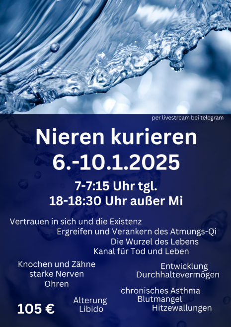 Flyer Nieren kurieren Januar 2025